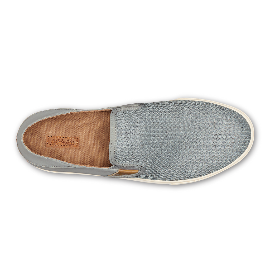 Pale Grey Big Image - 7