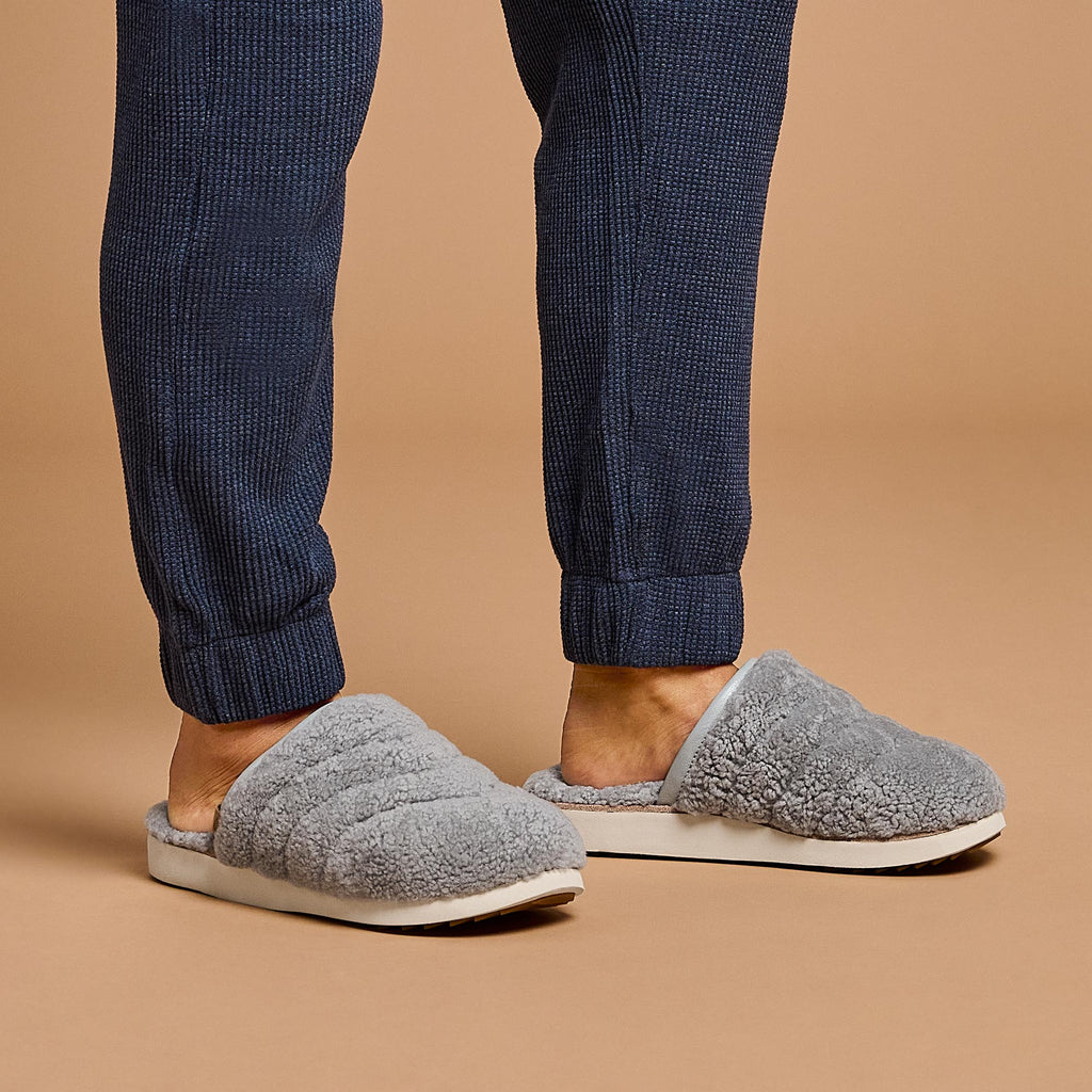 Pale Grey Big Image - 2